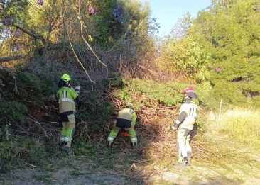Castell�n activa un gran dispositivo municipal ante la borrasca Oriana: cerca de 300 intervenciones