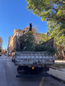 Fotografia /Galeria/2026/2/256989_166285/2_M1.jpg