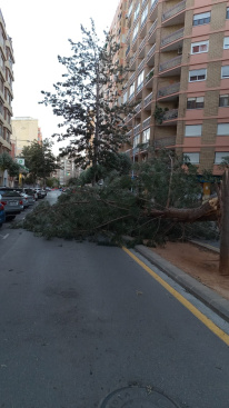 Fotografia /Galeria/2026/2/256989_166285/3_M1.jpg