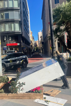 Fotografia /Galeria/2026/2/256989_166285/5_M1.jpg