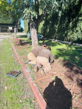 Burriana Inserta impulsa la mejora de espacios municipales con actuaciones de jardiner�a