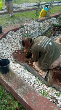 Fotografia /Galeria/2026/2/256994_166286/2_M1.jpg