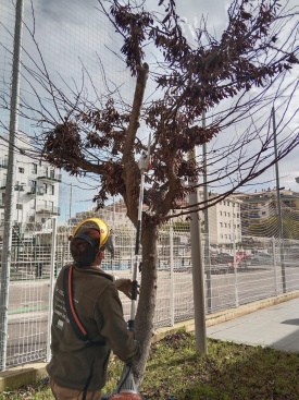 Fotografia /Galeria/2026/2/256994_166286/3_M1.jpg