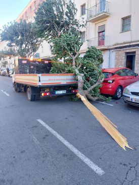 Fotografia /Galeria/2026/2/257009_166298/4_M1.jpg