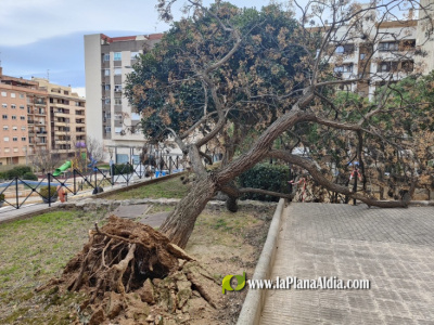 Fotografia /Galeria/2026/2/257019_166307/4_M1.jpg