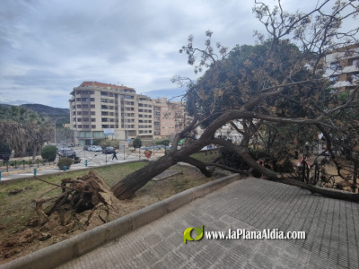 Fotografia /Galeria/2026/2/257019_166307/5_M1.jpg