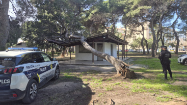 Fotografia /Galeria/2026/2/257072_166346/2_M1.jpg