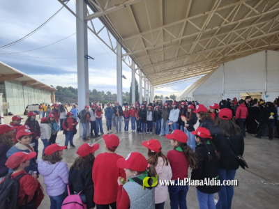 Fotografia /Galeria/2026/2/257120_166377/5_M1.jpg