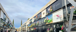 benicarlo-licita-la-construccion-de-296-nichos-y-120-columbarios-en-el-cementerio-municipal