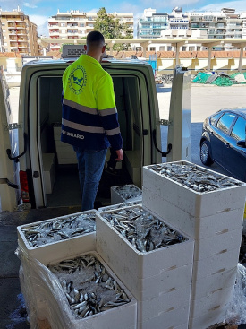 Fotografia /Galeria/2026/2/257197_166430/2_M1.jpg