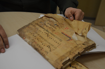 Fotografia /Galeria/2026/2/257228_166450/4_M1.jpg