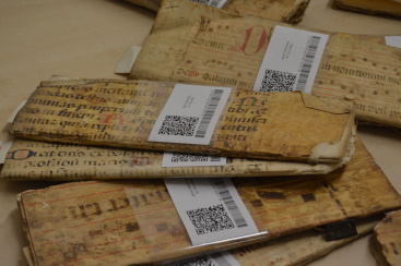 Fotografia /Galeria/2026/2/257228_166450/6_M1.jpg