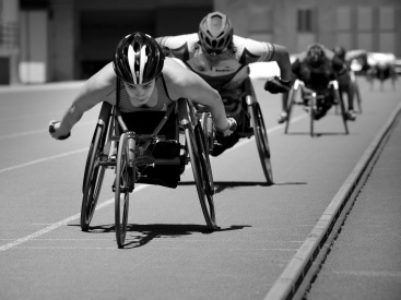 Fotografia /Galeria/2026/2/257482_166632/2_M1.jpg