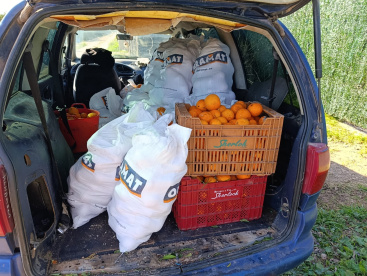 la-policia-local-de-almassora-intercepta-a-dos-individuos-que-sustraian-mas-de-200-kilogramos-de-naranjas-de-la-variedad-lane-late