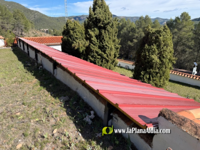 Fotografia /Galeria/2026/2/257539_166673/2_M1.jpg