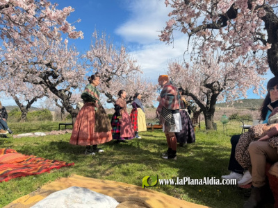 -albocasser-pone-en-valor-el-paisaje-y-las-tradiciones-con-una-nueva-edicion-de-ametlers-a-escena