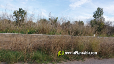 Fotografia /Galeria/2026/2/257548_166678/2_M1.jpg