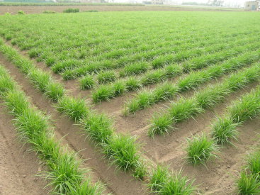 Fotografia /Galeria/2026/2/257570_166694/3_M1.jpg