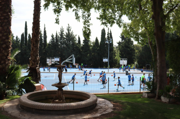 Fotografia /Galeria/2026/2/257584_166704/2_M1.jpg