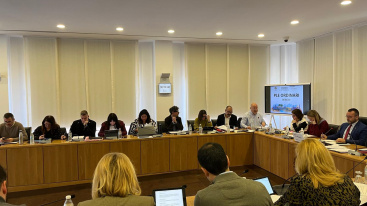 El Pleno de Vila-real aprueba acuerdos para defender la cer�mica, reforzar la igualdad y modernizar los servicios p�blicos