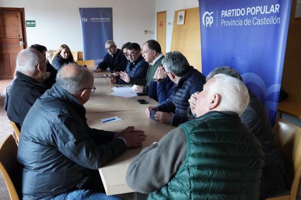 Fotografia /Galeria/2026/2/257836_166882/2_M1.jpg