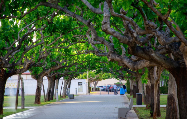 torreblanca-se-incorpora-a-viles-en-flor-como-municipio-referente-en-sostenibilidad-y-espacios-verdes