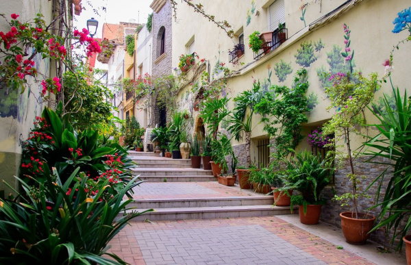 Fotografia /Galeria/2026/3/257851_166897/2_M1.jpg