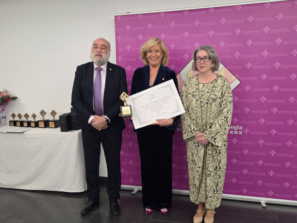 Castell�n recibe reconocimiento del COPCV por su apuesta por la salud mental