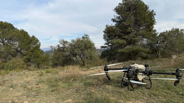 Fotografia /Galeria/2026/3/257892_166932/2_M1.jpg