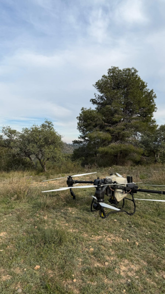 Fotografia /Galeria/2026/3/257892_166932/4_M1.jpg