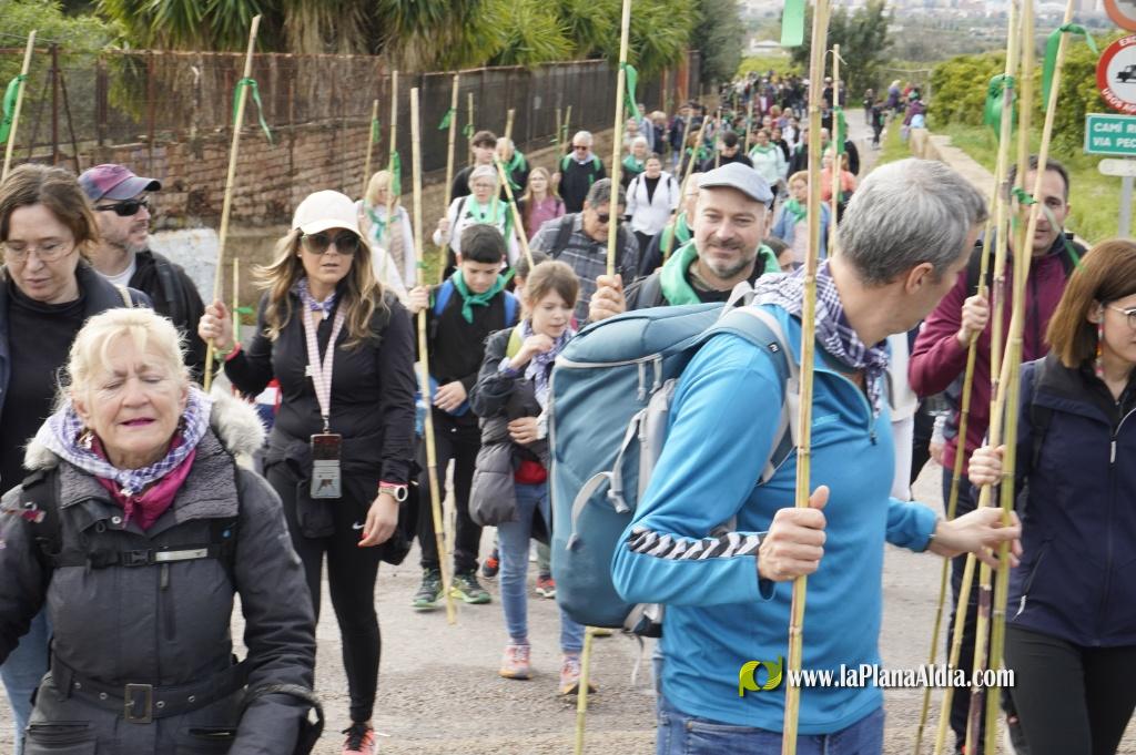 Castell? celebra la Romeria de les Canyes malgrat la pluja amb pres?ncia institucional