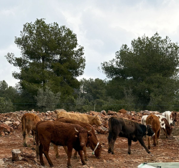 Fotografia /Galeria/2026/3/258346_167242/2_M1.jpg