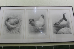 La FPA Historiador Viciana inaugura 'Viv�ncies', una mirada realista de Vicent Guerola