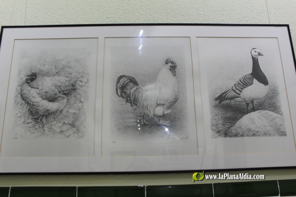 La FPA Historiador Viciana inaugura 'Viv�ncies', una mirada realista de Vicent Guerola