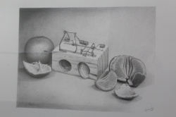 La FPA Historiador Viciana inaugura 'Viv�ncies', una mirada realista de Vicent Guerola