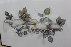 La FPA Historiador Viciana inaugura 'Viv�ncies', una mirada realista de Vicent Guerola