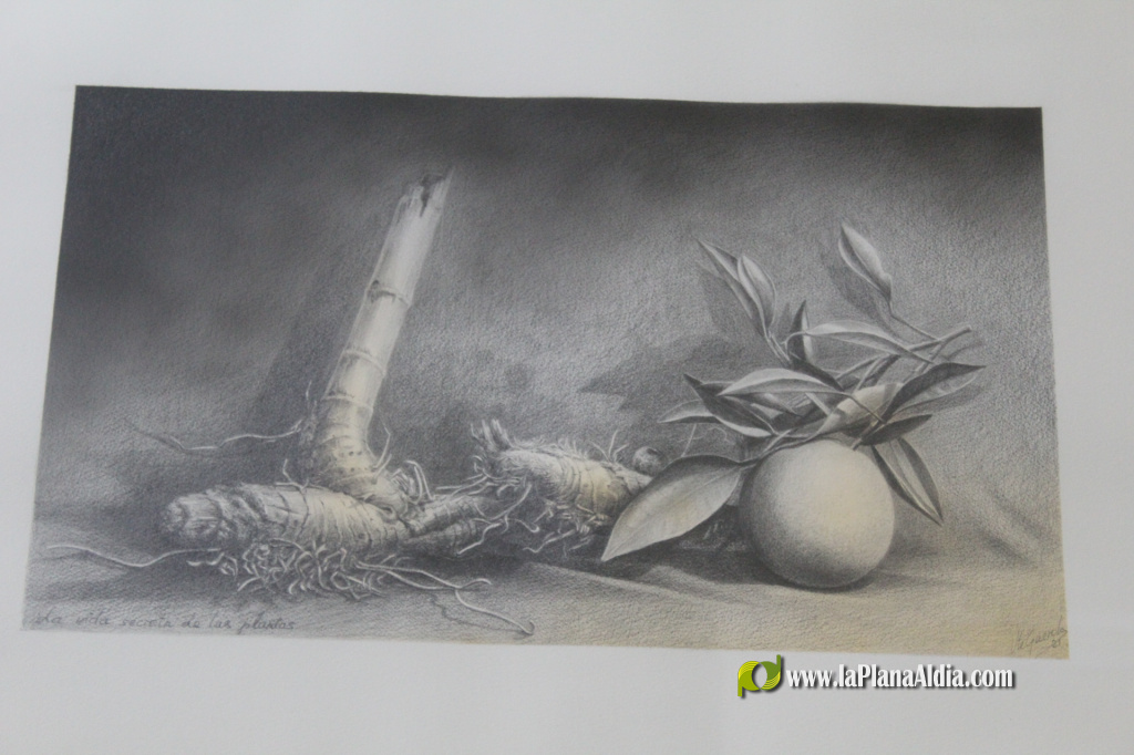 La FPA Historiador Viciana inaugura 'Viv�ncies', una mirada realista de Vicent Guerola