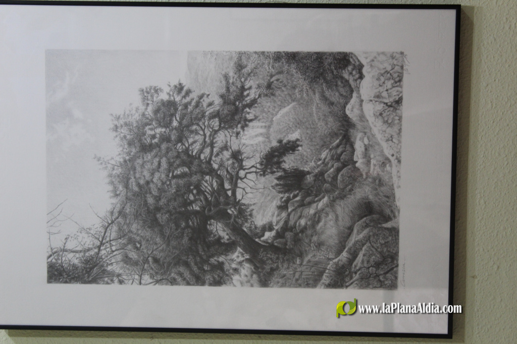 La FPA Historiador Viciana inaugura 'Viv�ncies', una mirada realista de Vicent Guerola