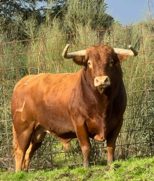 Fotografia /Galeria/2026/3/258456_167320/3_M1.jpg