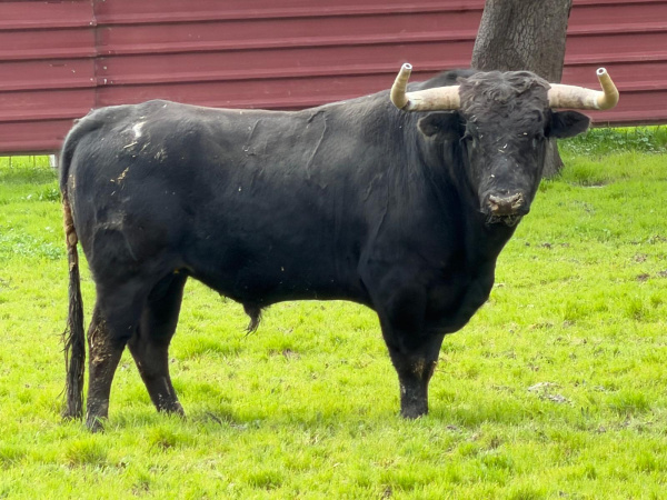 Fotografia /Galeria/2026/3/258456_167320/6_M1.jpg