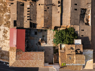 Fotografia /Galeria/2026/3/258643_167451/3_M1.jpg