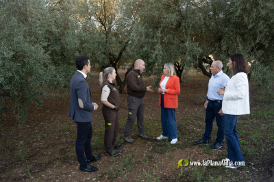 La Diputaci�n de Castell�n refuerza la seguridad del campo y el apoyo a los municipios de menos de 5.000 habitantes con el servicio de guarda rural