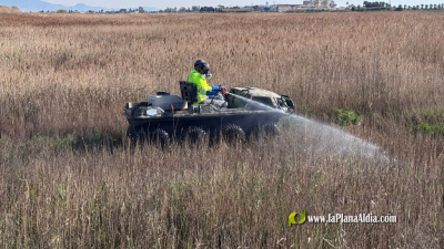  La Diputaci�n de Castell�n refuerza las labores de prevenci�n contra los mosquitos en la zona del litoral