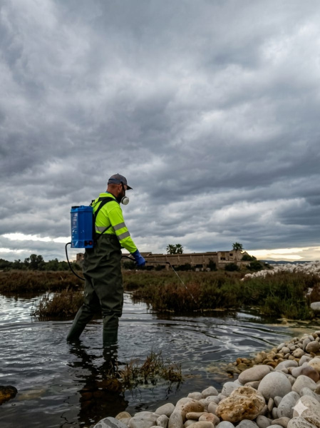 torreblanca-pone-en-marcha-una-campa-a-para-frenar-la-proliferacion-de-larvas-de-mosquitos-tras-las-intensas-lluvias