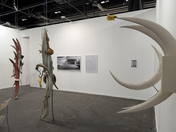 Fotografia /Galeria/2026/3/258826_167587/2_M1.jpg