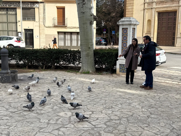 Fotografia /Galeria/2026/3/258839_167597/2_M1.jpg