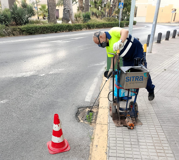 Fotografia /Galeria/2026/3/258863_167615/2_M1.jpg