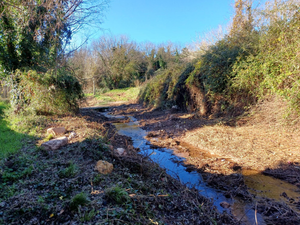 Fotografia /Galeria/2026/3/258870_167617/2_M1.jpg