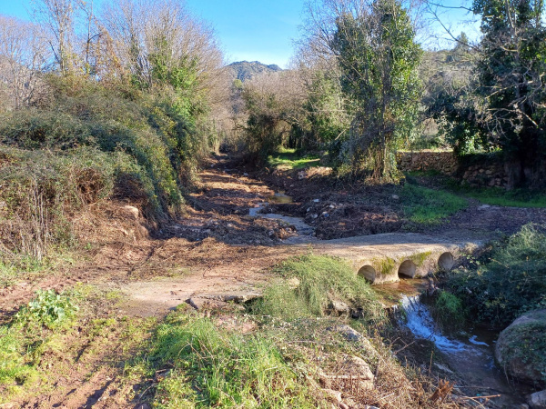 Fotografia /Galeria/2026/3/258870_167617/4_M1.jpg