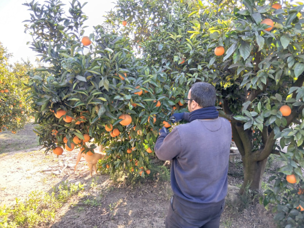 Fotografia /Galeria/2026/3/258976_167718/2_M1.jpg